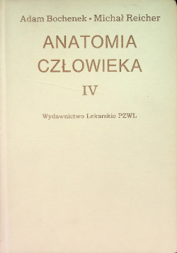 Anatomia Człowieka Tom IV
