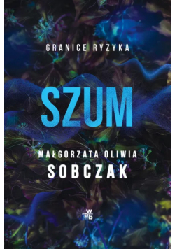 Szum. Granice ryzyka. Tom 2