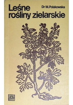 Leśne rośliny zielarskie