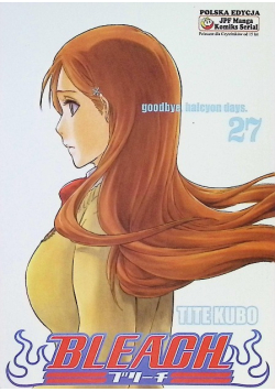 Bleach Tom 27