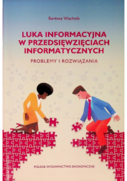 Luka informacyjna w przedsięwzięciach informatycznych Problemy i rozwiązania