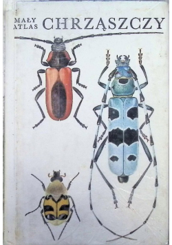 Mały atlas chrząszczy