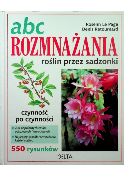 ABC rozmnażania roślin przez sadzonki