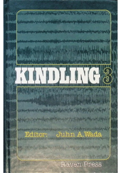 Kindling 3