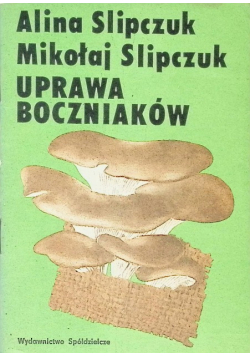 Uprawa boczniaków