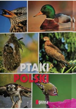 Ptaki Polski