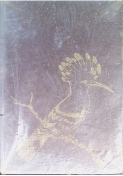 Ptaki Polski