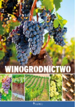 Winogrodnictwo