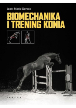 Biomechanika i trening konia