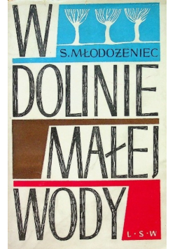 W dolinie małej wody