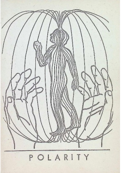 Polarity