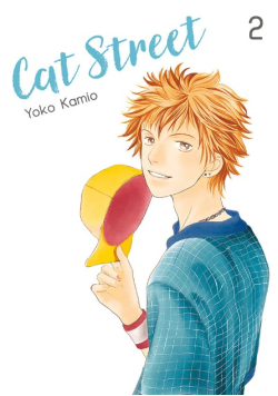 Cat Street Tom 2
