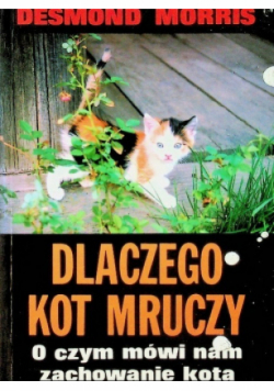 Dlaczego kot mruczy O czym mówi nam zachowanie kota