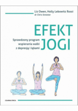 Efekt jogi