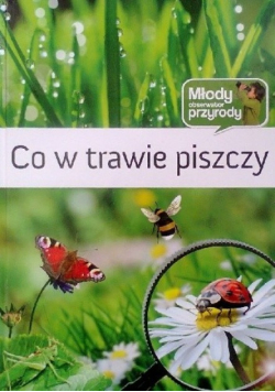 Co w trawie piszczy