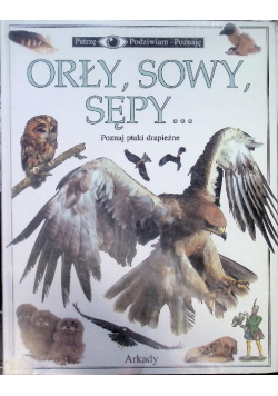 Patrzę podziwiam poznaję Orły sowy sępy