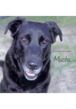 Mucha