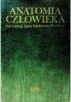 Anatomia człowieka