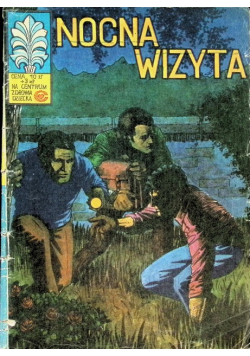 Nocna Wizyta