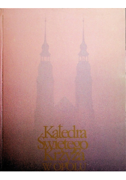 Katedra Świętego Krzyża w Opolu