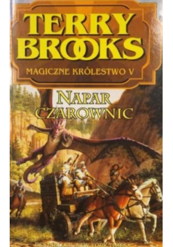 Napar czarownic Magiczne królestwo Tom 5