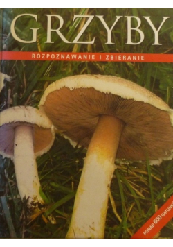 Grzyby Rozpoznawanie i zbieranie