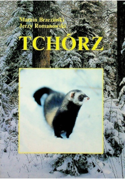 Tchórz