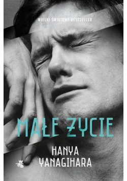 Małe życie