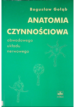 Anatomia czynnościowa obwodu układu nerwowego