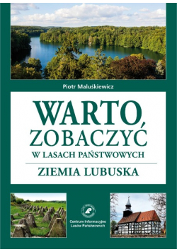 Warto zobaczyć w Lasach Państwowych Ziemia lubuska