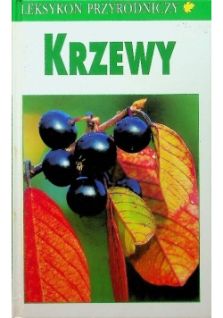 Krzewy