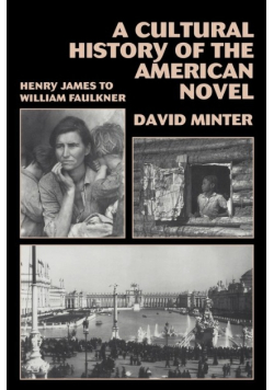 A Cultural History of the American Novel
