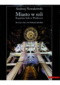 Miasto w soli
