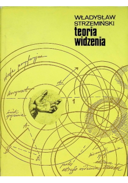 Teoria widzenia