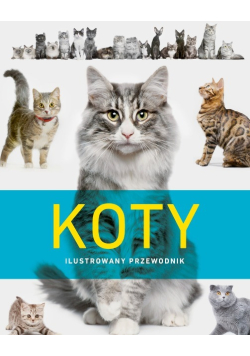 Koty Ilustrowany przewodnik