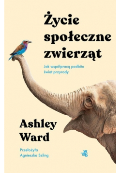 Życie społeczne zwierząt