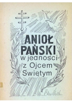 Anioł Pański w jedności z Ojcem Świętym
