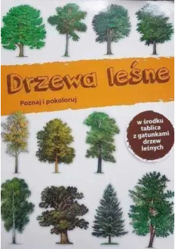 Drzewa poznaj i pokoloruj