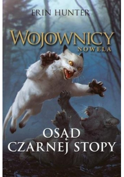Osąd Czarnej Stopy