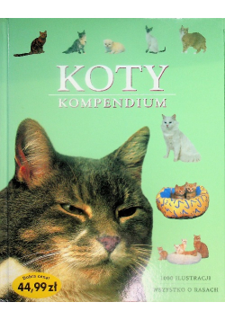 Koty Kompendium