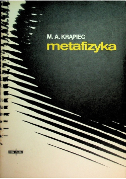 Metafizyka