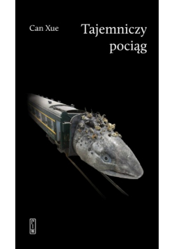 Tajemniczy pociąg