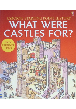 What Were Castles For