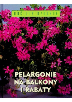 Pelargonie na balkony i rabaty