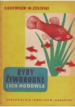 Ryby żyworodne i ich hodowla
