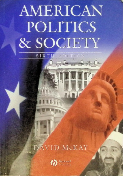 American Politics And Society