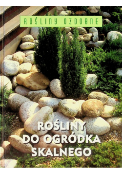 Rośliny do ogródka skalnego
