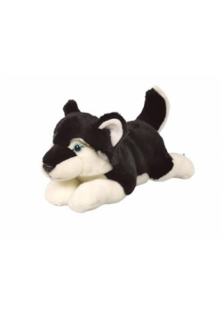Husky ciemny 34cm