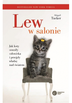 Lew w salonie