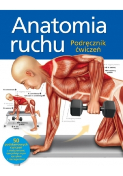 Anatomia ruchu